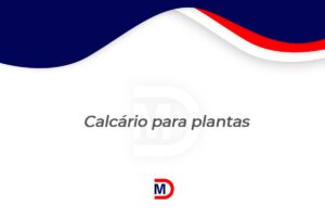 Prancheta 7